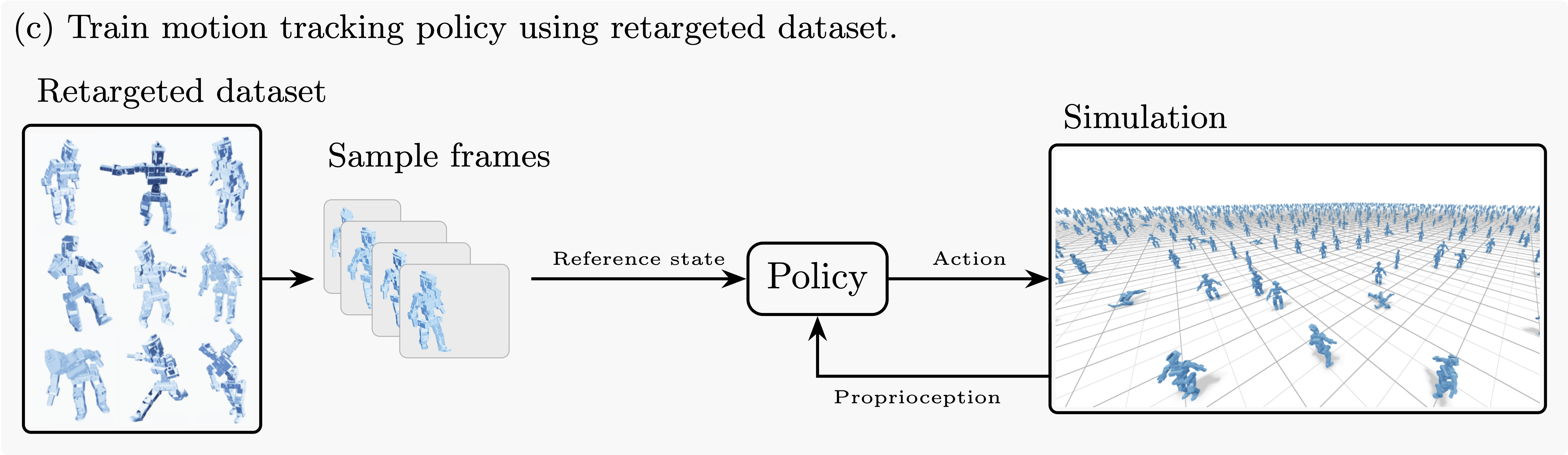 Stage (c): Train a motion tracking policy on the retargeted dataset.